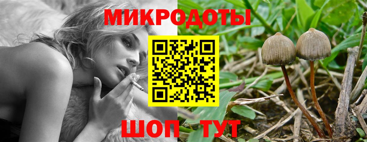 Галлюциногенные грибы Magic Shrooms Вичуга