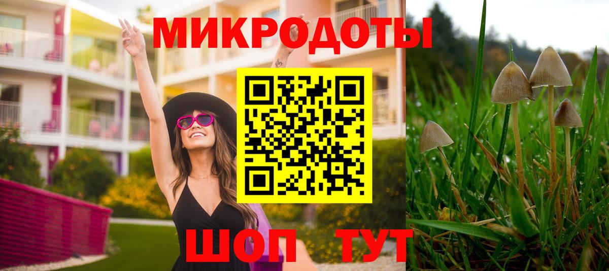 Вичуга  Псилоцибиновые грибы Psilocybe  Псилоцибиновые грибы мицелий  Вход с VPN 
